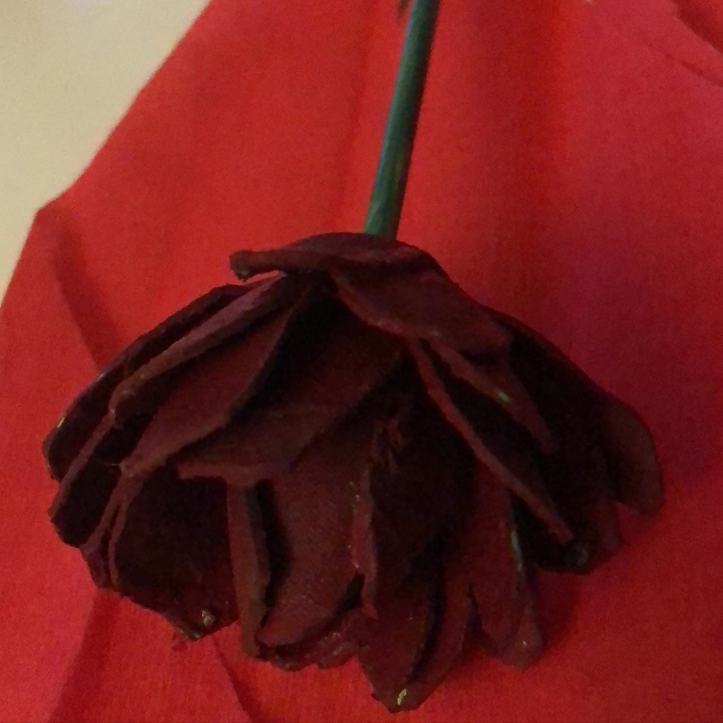 La rosa de l'ouera de Babou Handmade
